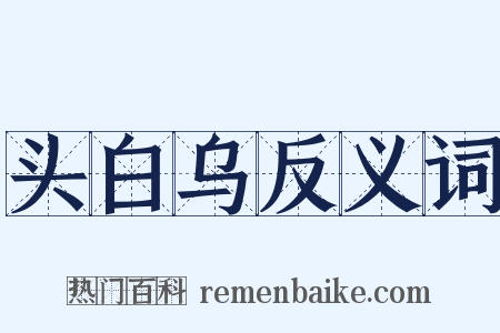 头白乌反义词是什么意思的图片
